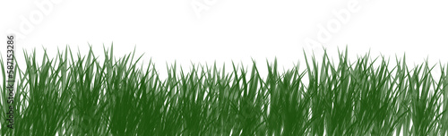 digitally rendered green grass isolated on white.
