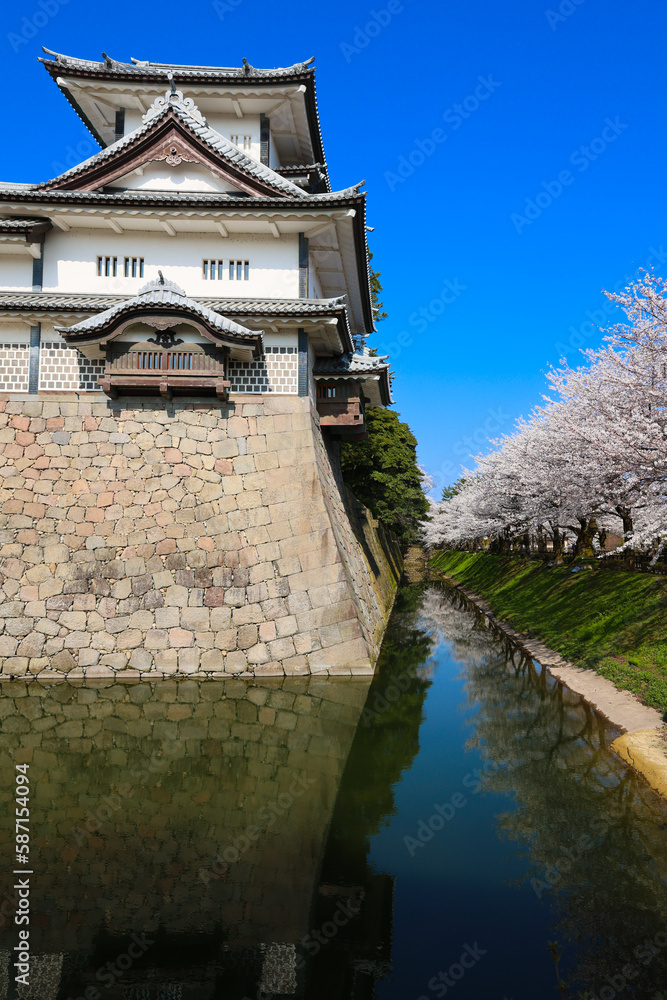 the castle of the wall with sakura trees the castle of the wall with sakura trees
