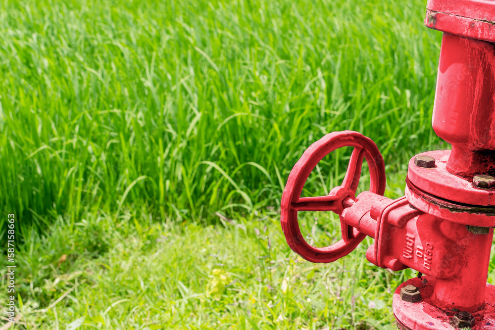 Concept of irrigation. Red water faucet valve against the background of rice fields. Concept of irrigation. Red water faucet valve against the background of rice fields.