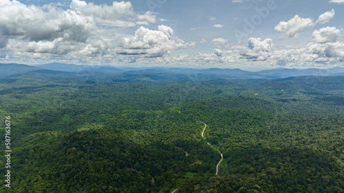 Jungle and rainforest in highlands. Borneo, Malaysia.