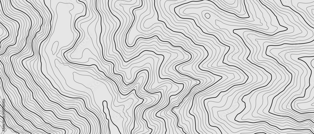 Obraz premium The stylized height of the topographic contour in lines. The concept of a conditional geography scheme and the terrain path. Black & White. Ultra wide size. Vector illustration. 