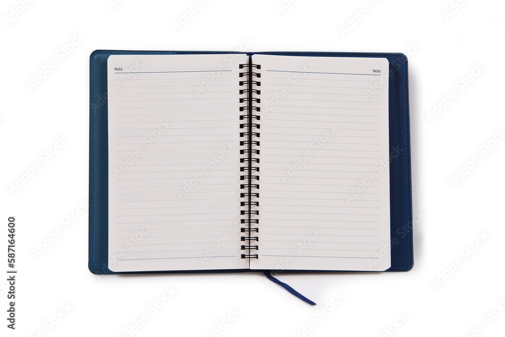 There's a blank line in the diary There's a blank line in the diary