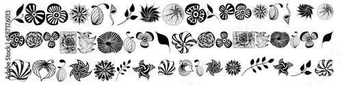 Flower doodle illustration. Hand drawn leaf and floral isolated doodles set.