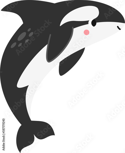 Vector illustration of cartoon killer whale isolated on white background.