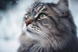 close up of a lovely gray street cat against a snowy backdrop. Generative AI