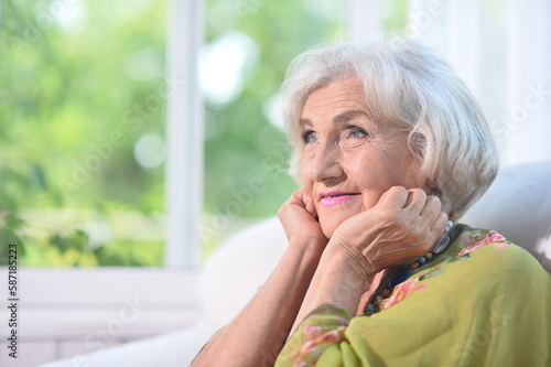 Beautiful elderly woman at the country house