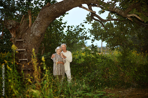  elderly couple walks in nature in summer