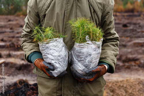 man holds packages of seedlings before planting forest in spring