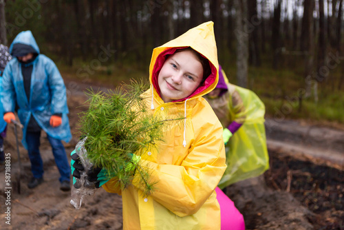 young woman holds pine tree seedlings in her hands before planting
