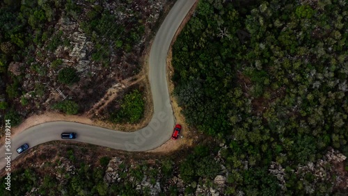 A road in the middle of green pine and fir forests, in Europe, France, Corsica