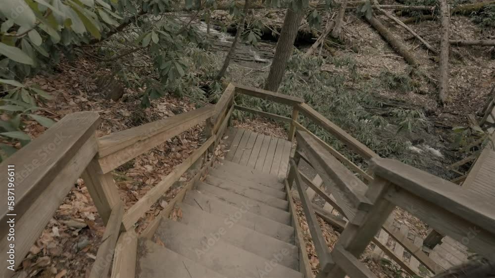 Beautiful descent along forest boardwalk reveals babbling creek water in Pennsylvania Beautiful descent along forest boardwalk reveals babbling creek water in Pennsylvania
