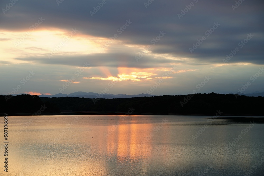 Obraz premium 狭山湖、湖、所沢市、入間、埼玉、日本、自然、風景、11月、秋、夕方、夕景、すすき、日没、空、雲、景色、木、景観、眺め、広い、東屋、橋、