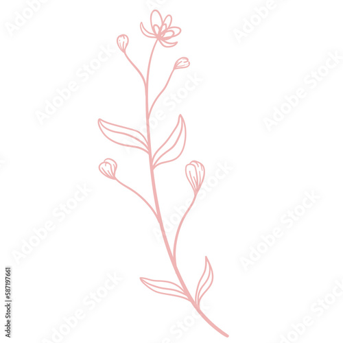 Floral Line Illustration
