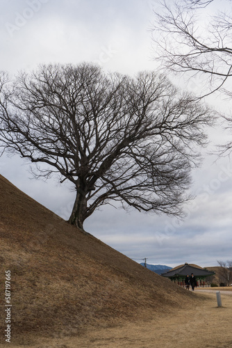 Bonghwangdae Seobongchong tombs during winter afternoon cloudy day at Gyeongju , South Korea : 10 February 2023 photo