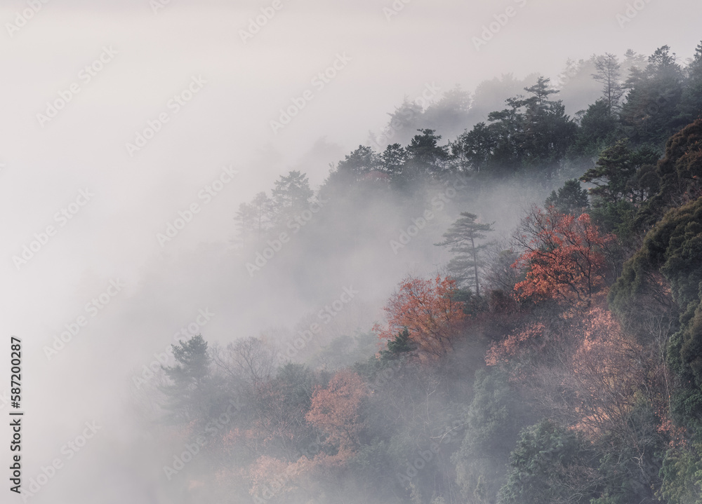 霧かかる紅葉した山