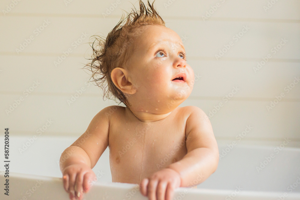A Baby's first year celebration A Baby's first year celebration