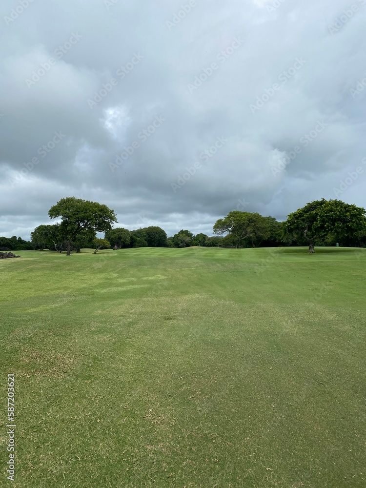 Golf course with green grass and gray sky
