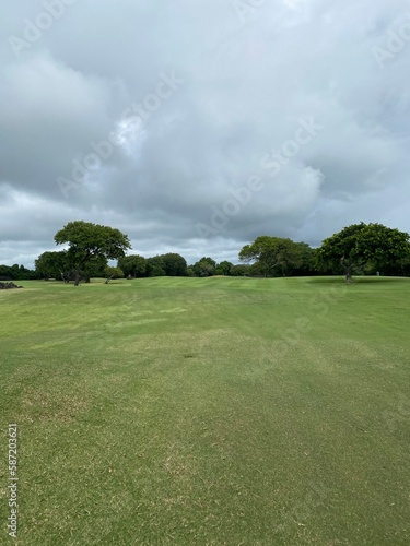 Golf course with green grass and gray sky