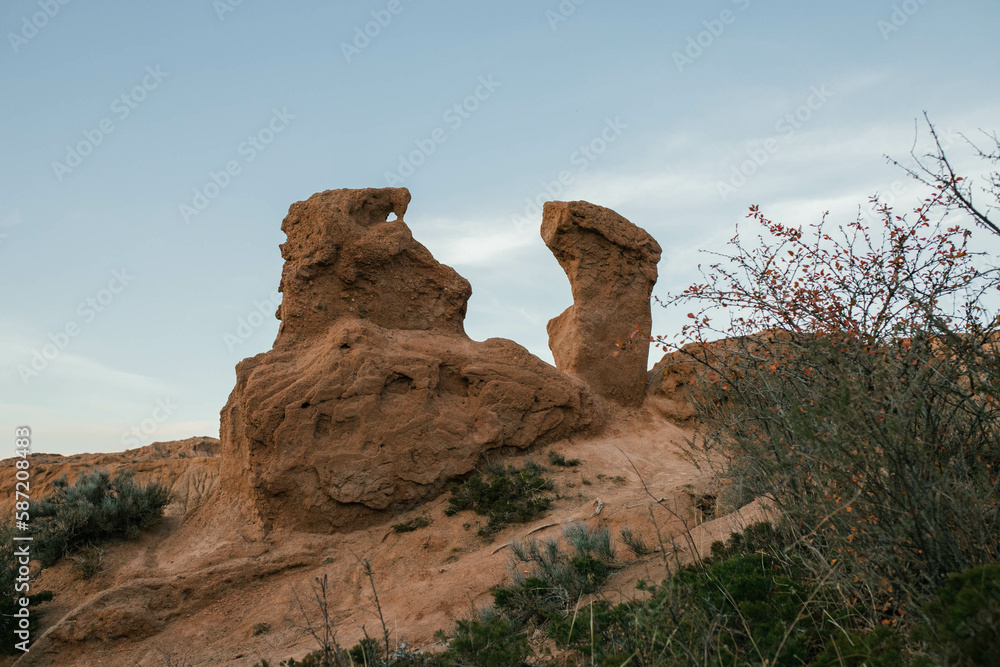 A stone of strange shape amidst the desert and shrubs