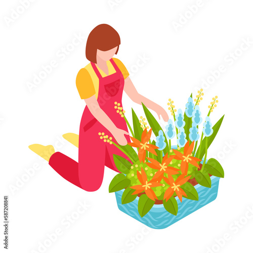 Isometric Florist Illustration