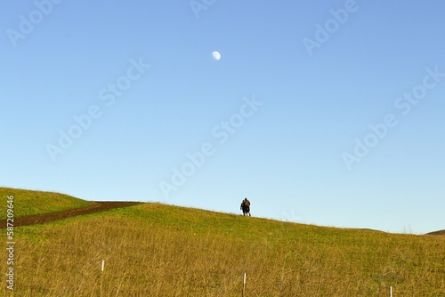 Following the moon / San Ramon, California 