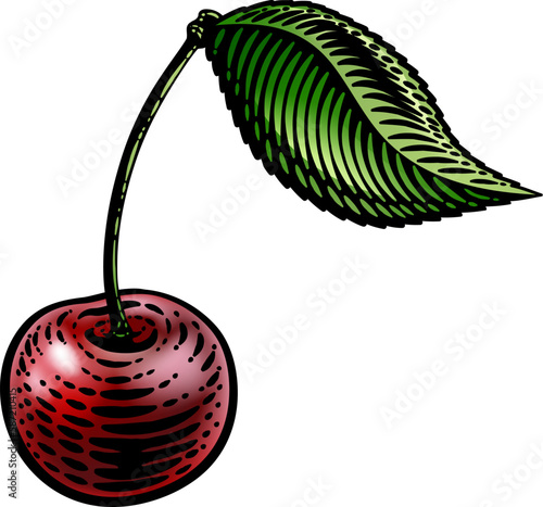 Cherry berry fruit illustra...