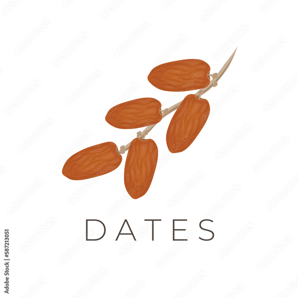 Natural Dried Arabic Date Fruit Illustration Logo