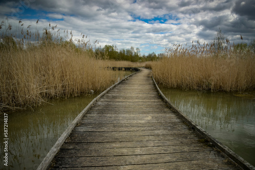 view of a wooden pontoon in the middle of the ponds © AUFORT Jérome
