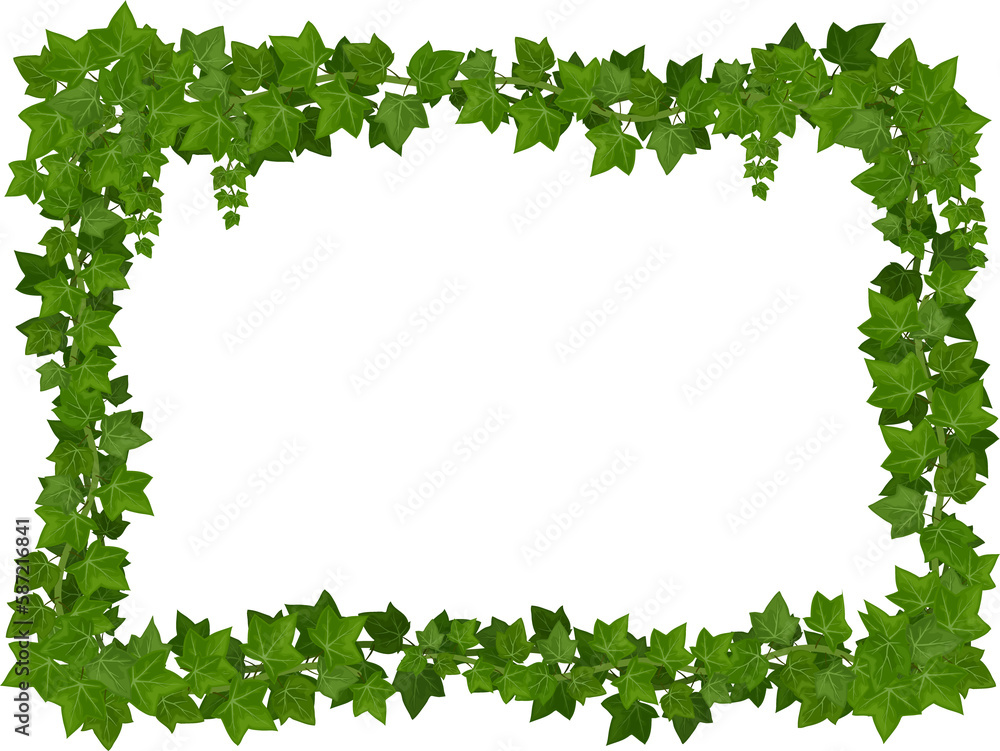 Cartoon ivy frame, rectangle border with leaves Cartoon ivy frame, rectangle border with leaves