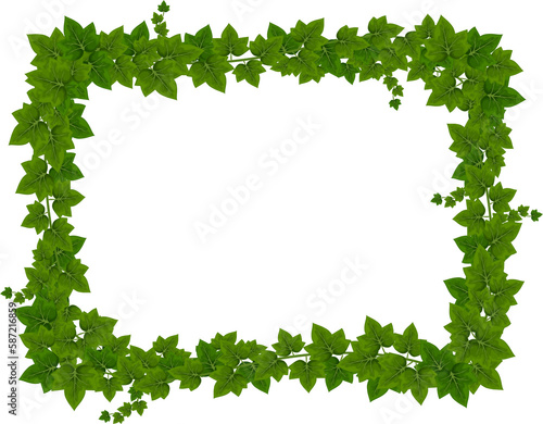 Cartoon ivy frame, border with bindweed leaves photo