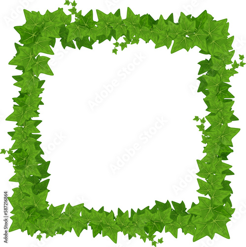 Square ivy frame with leaves and lianas, border