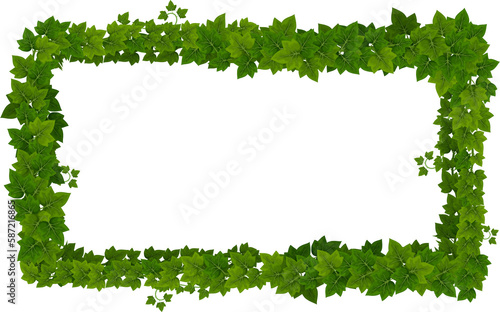 Obraz na plátne Rectangular ivy frame, cartoon vector ui border