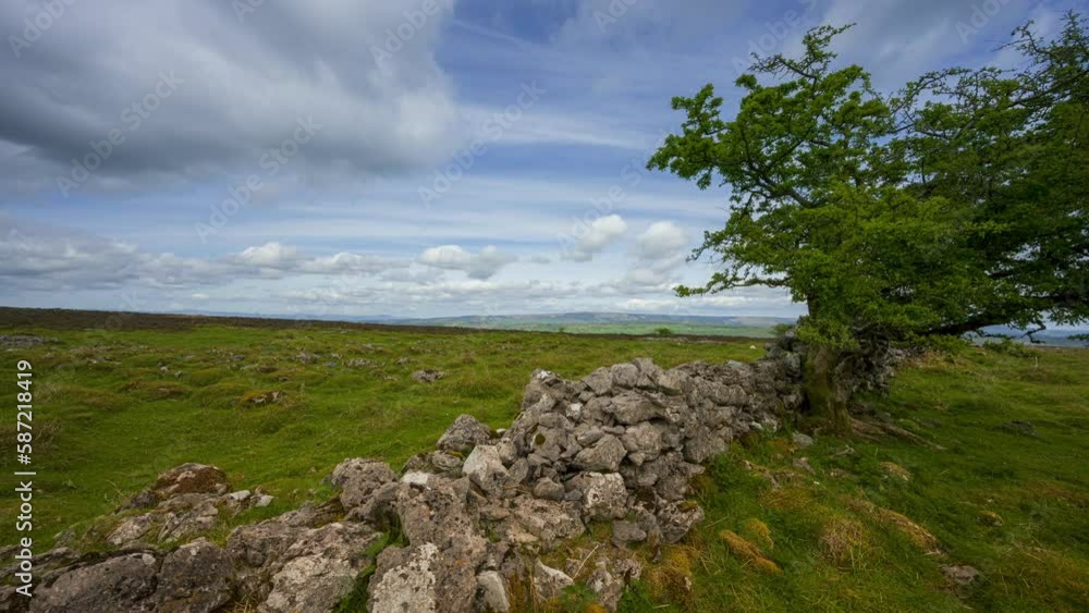 Panorama motion timelapse of rural nature farmland with single tree along stonewall in the foreground during spring sunny cloudy day viewed from Carrowkeel in county Sligo in Ireland. Panorama motion timelapse of rural nature farmland with single tree along stonewall in the foreground during spring sunny cloudy day viewed from Carrowkeel in county Sligo in Ireland.