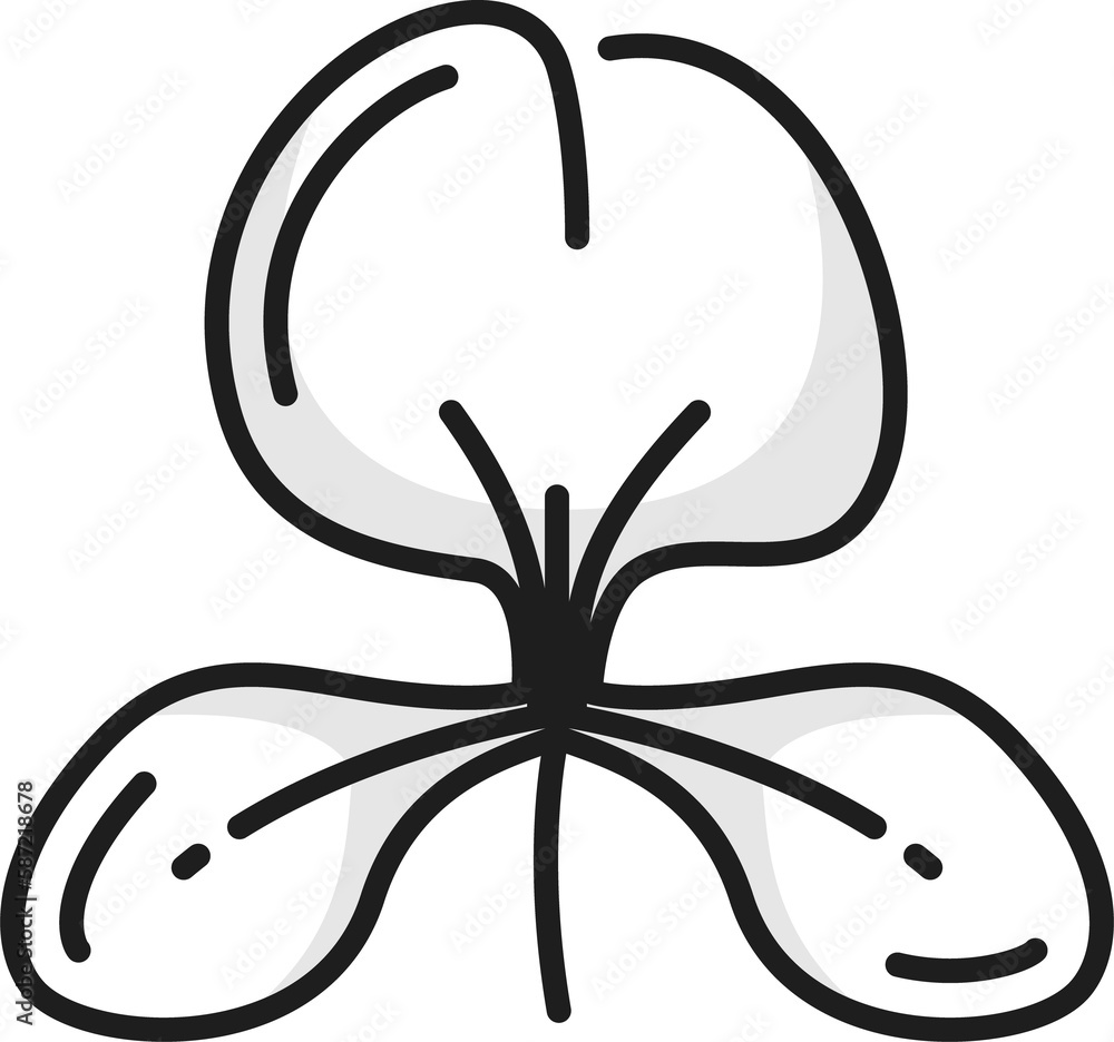 White ginger lily traditional cuban outline flower White ginger lily traditional cuban outline flower