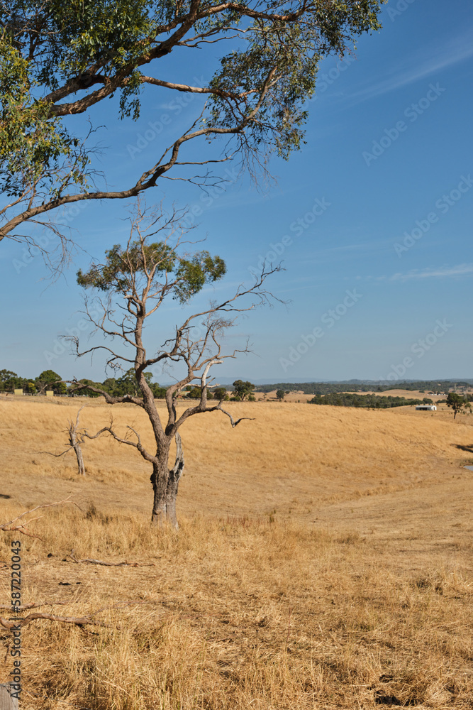 Cardinia Reservoir is an Australian man-made water supply saddle dam reservoir. The 287,000 ML water store is located in Emerald–Clematis–Dewhurst in south-eastern suburbs of Melbourne