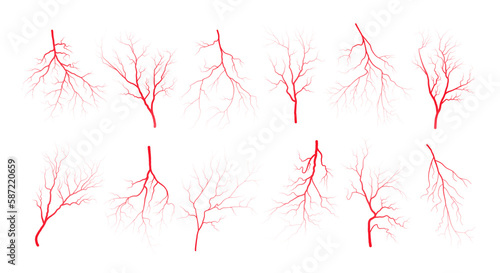 Human eye blood veins vessels silhouettes vector illustration set isolated on white background. Eyeballs red veins anatomical collection of human blood vessel artery health system.