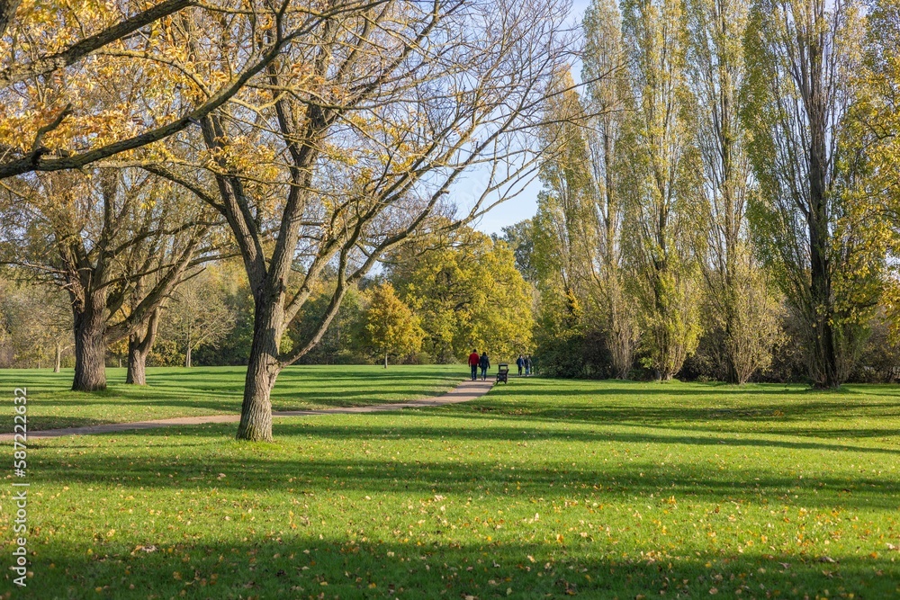 Obraz premium a view of a park through the trees in autumn, with people in the distance