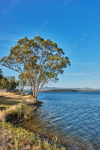 Cardinia Reservoir is an Australian man-made water supply saddle dam reservoir. The 287 000 ML water store is located in Emerald   Clematis   Dewhurst in south-eastern suburbs of Melbourne
