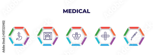 editable outline icons with infographic template. infographic for medical concept. included esophagus, x ray of bones, pelvic area, plastering, eye dropper icons.