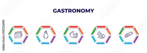 editable outline icons with infographic template. infographic for gastronomy concept. included lasagne, butternut squash, oyster, nachos, salami icons.