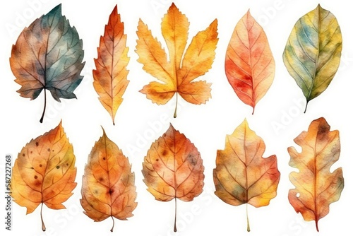 fall foliage display with a variety of vibrant colored leaves on a white background. Generative AI