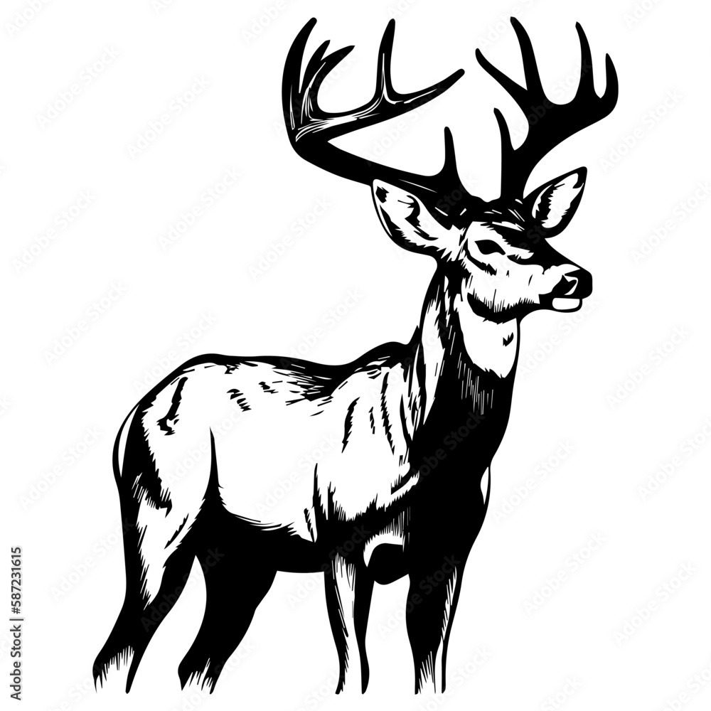 Fototapeta premium Deer vector silhouette, deer logo, isolated on white background.