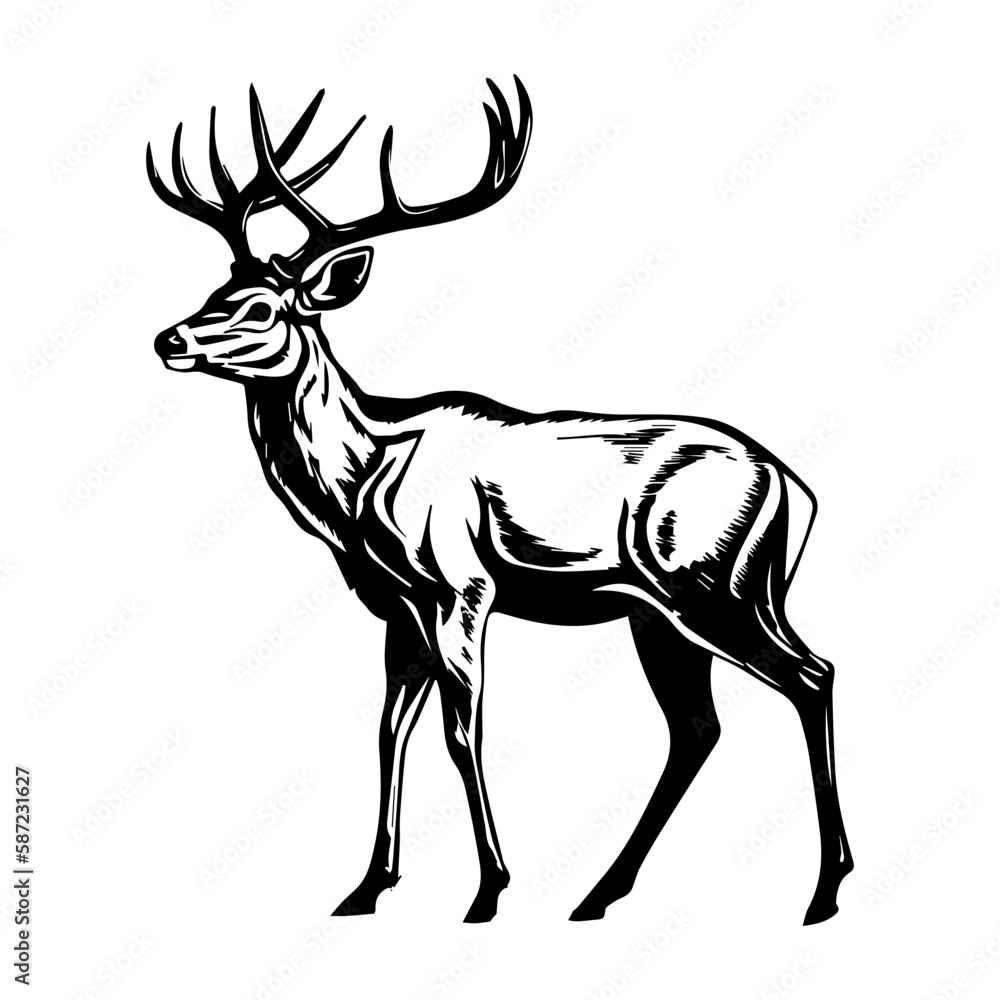 Deer vector silhouette, deer logo, isolated on white background. Deer vector silhouette, deer logo, isolated on white background.