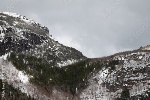 Scenic view of a lush forest in winter in Ile Perrot in southwestern Quebec, Canada © Bryon1/Wirestock Creators