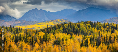 landscape with mountains and boreal forest in autumn colors, Alaska USA photo