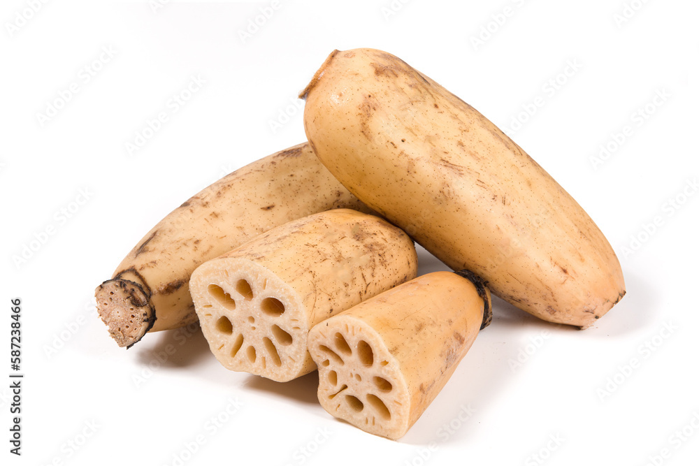 Fresh raw lotus root isolated on white background Fresh raw lotus root isolated on white background