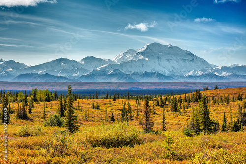 Landscape with taiga in autumn colours and mount Denali, Alaska 