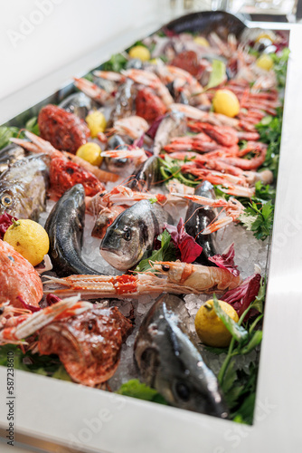 dettaglio delle mani di  un cuoco che seleziona il pescato da cucinare ,  da una vasca in metallo nella cucina di un ristorante  photo