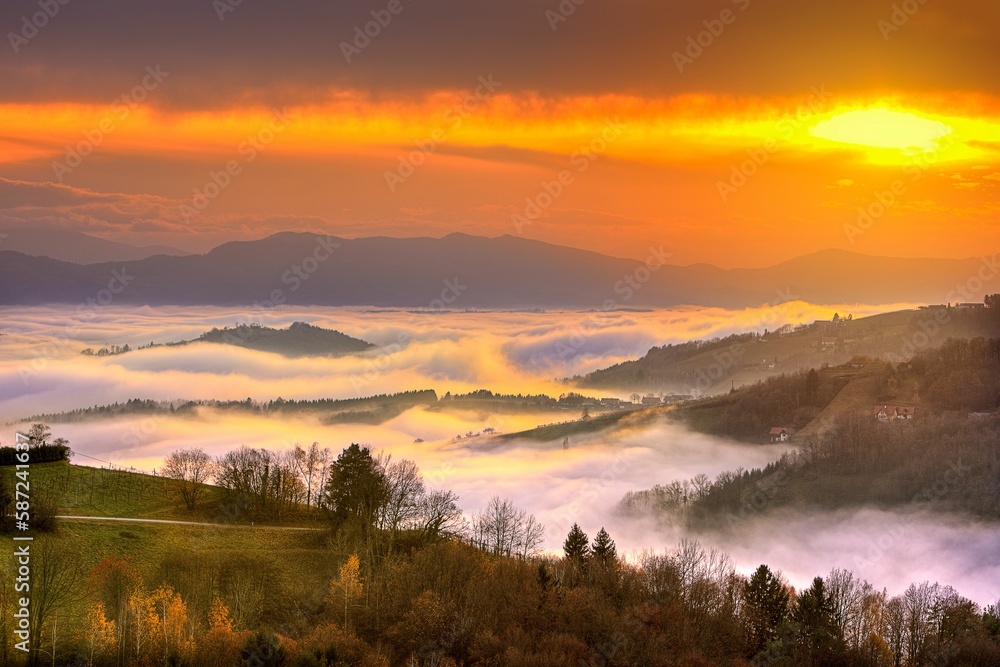 Beautiful landscape of forests on mountains on a foggy sunset
