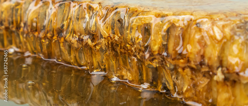 honeycomb pictures